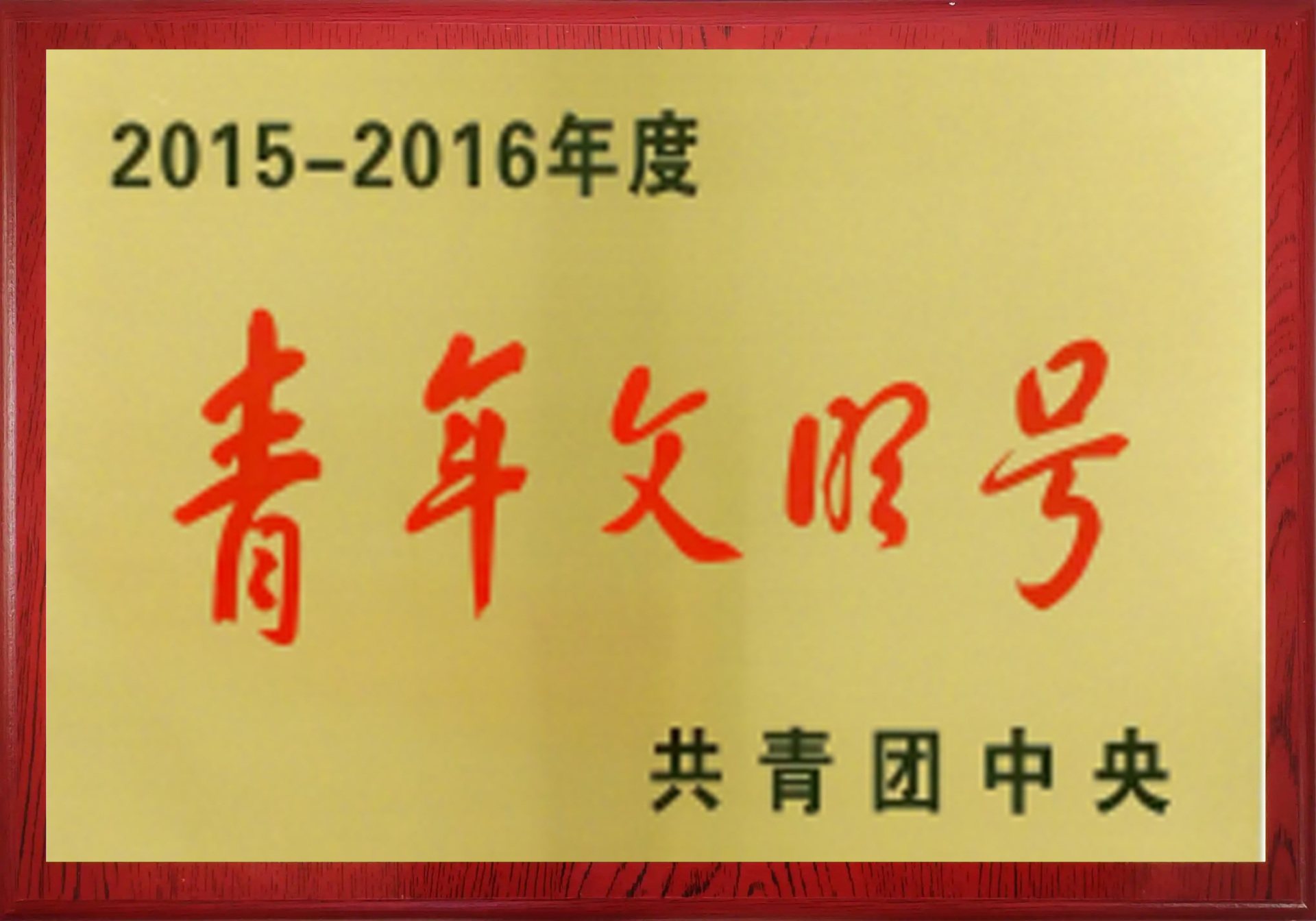 青年文明号（2015-2016年度）
